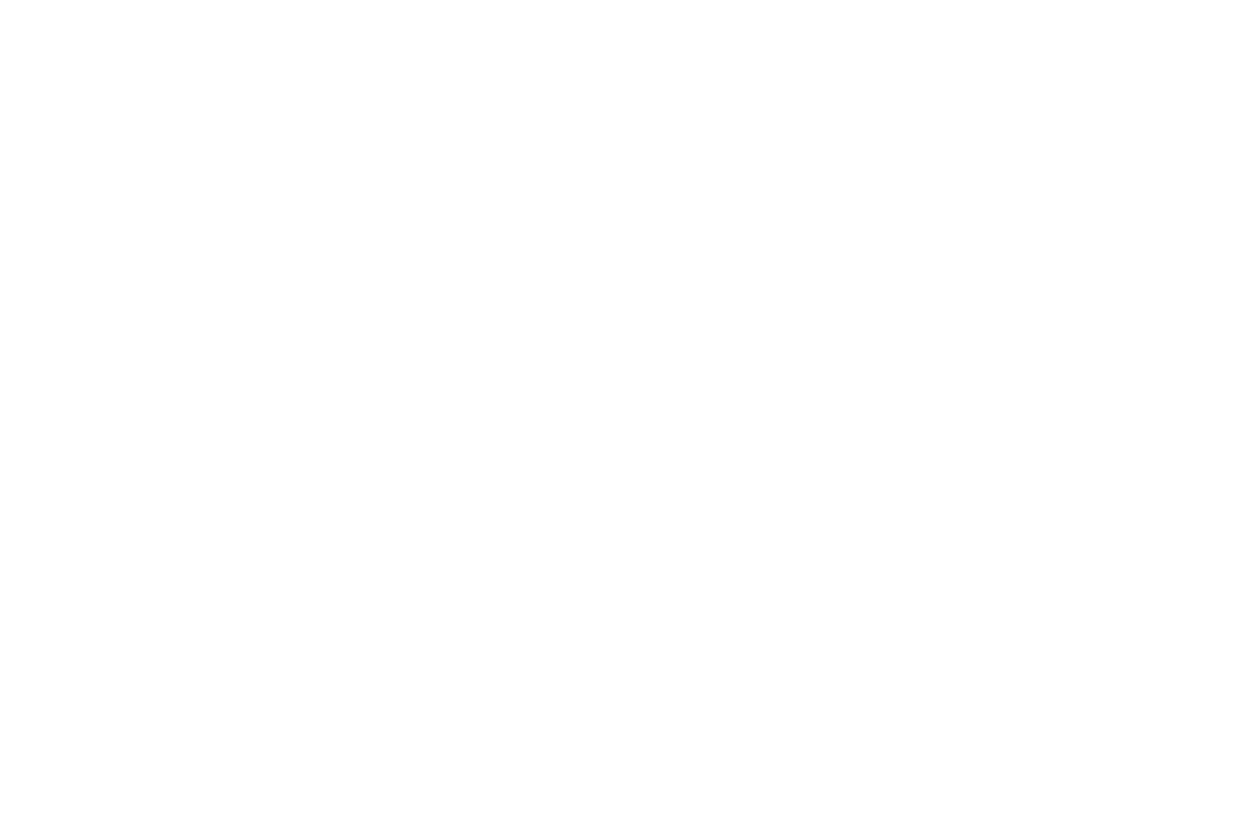 Benjamin padernoz technical artist logo
